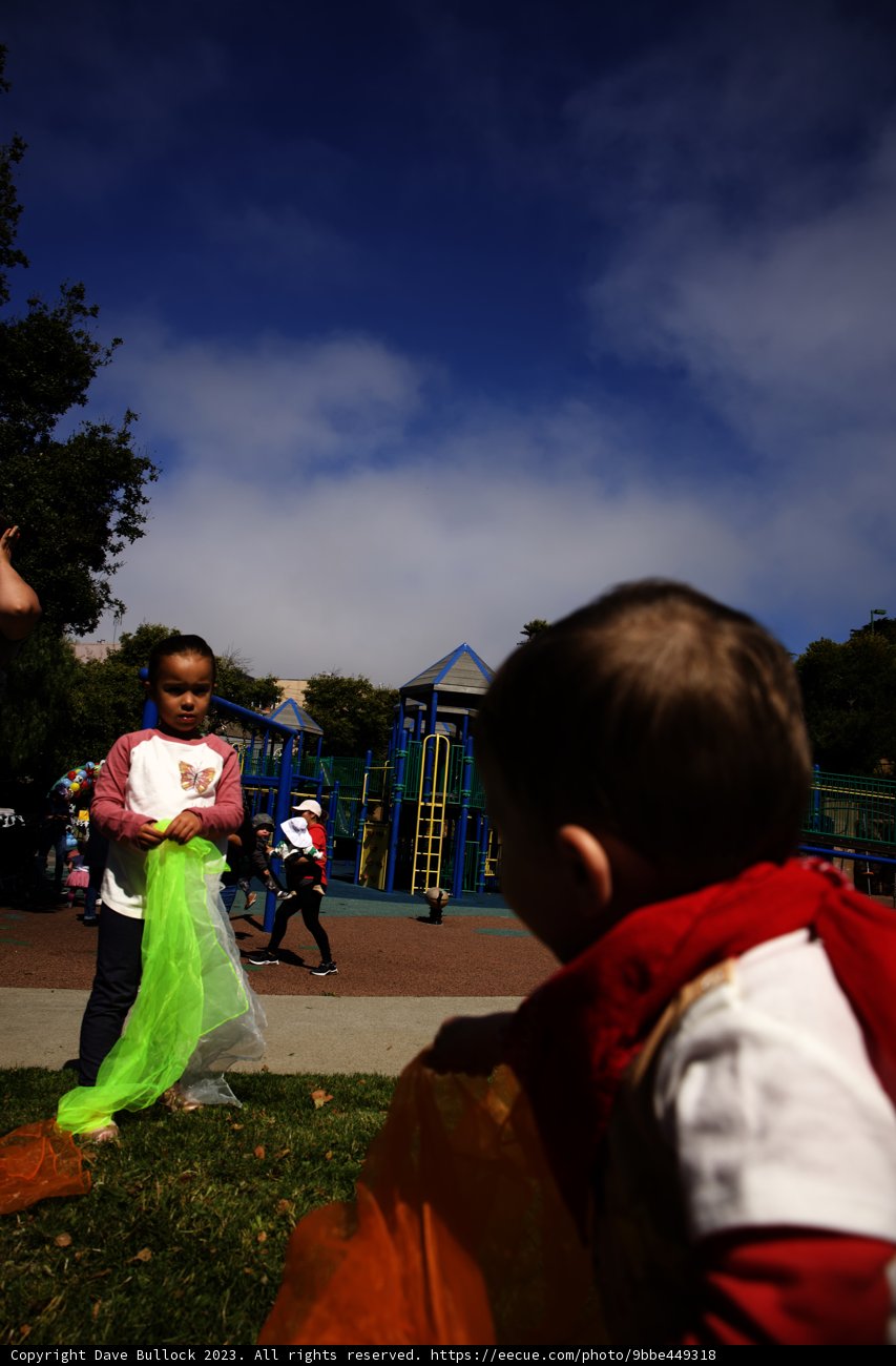 First Birthday Celebrations in the Park