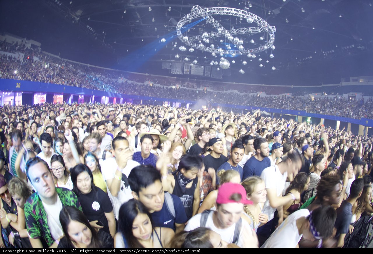 Arena Crowd Wide View