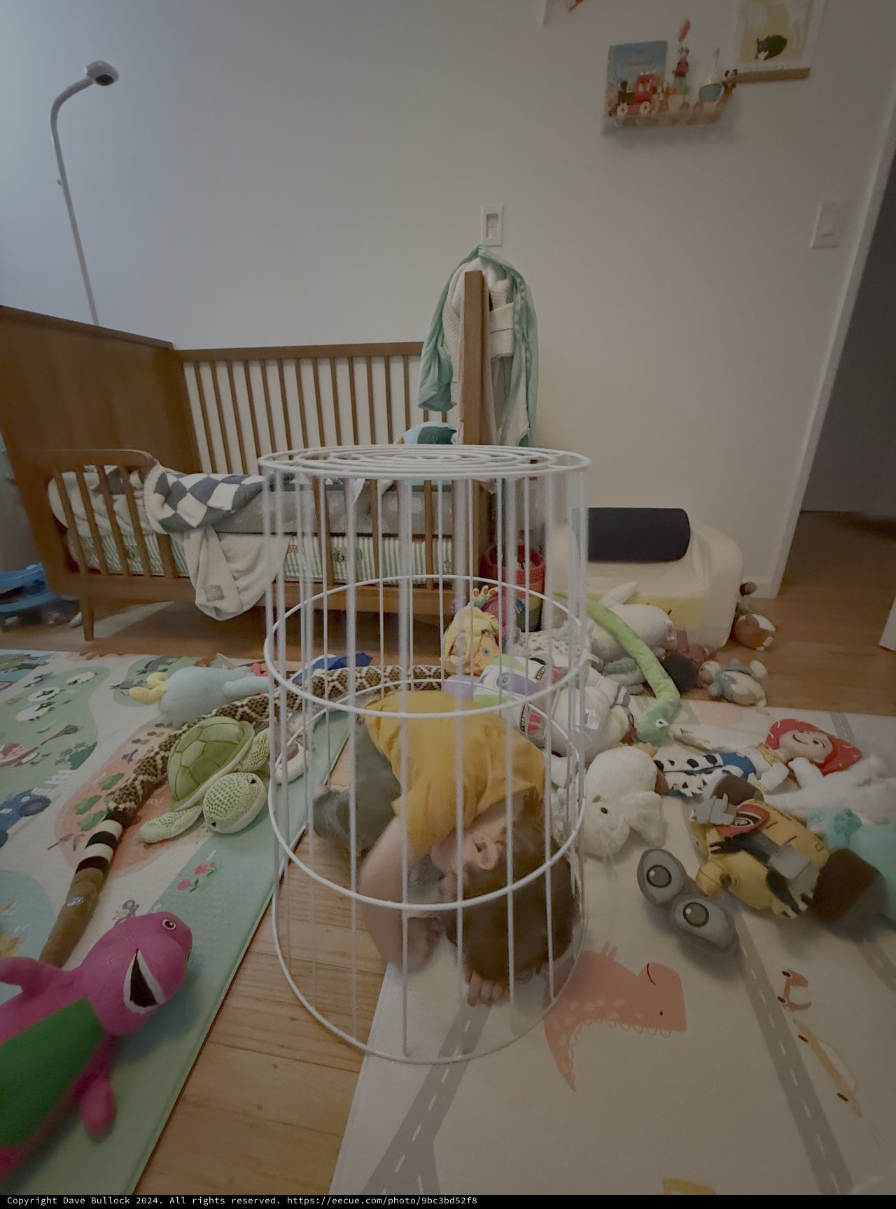 Chaotic Nursery Scene with Round White Crib