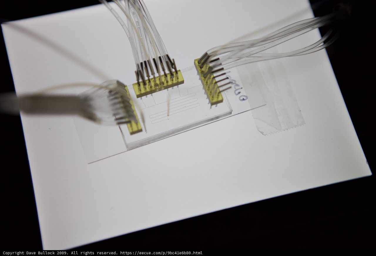 UCLA Micro Bio Chip: Inside the Computer