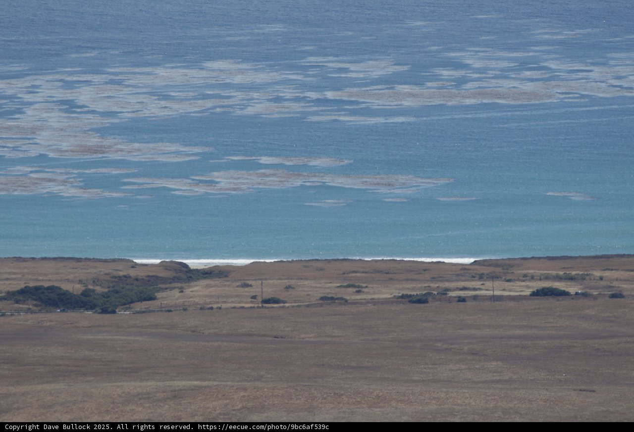 Coastal Serenity at Hearst Castle