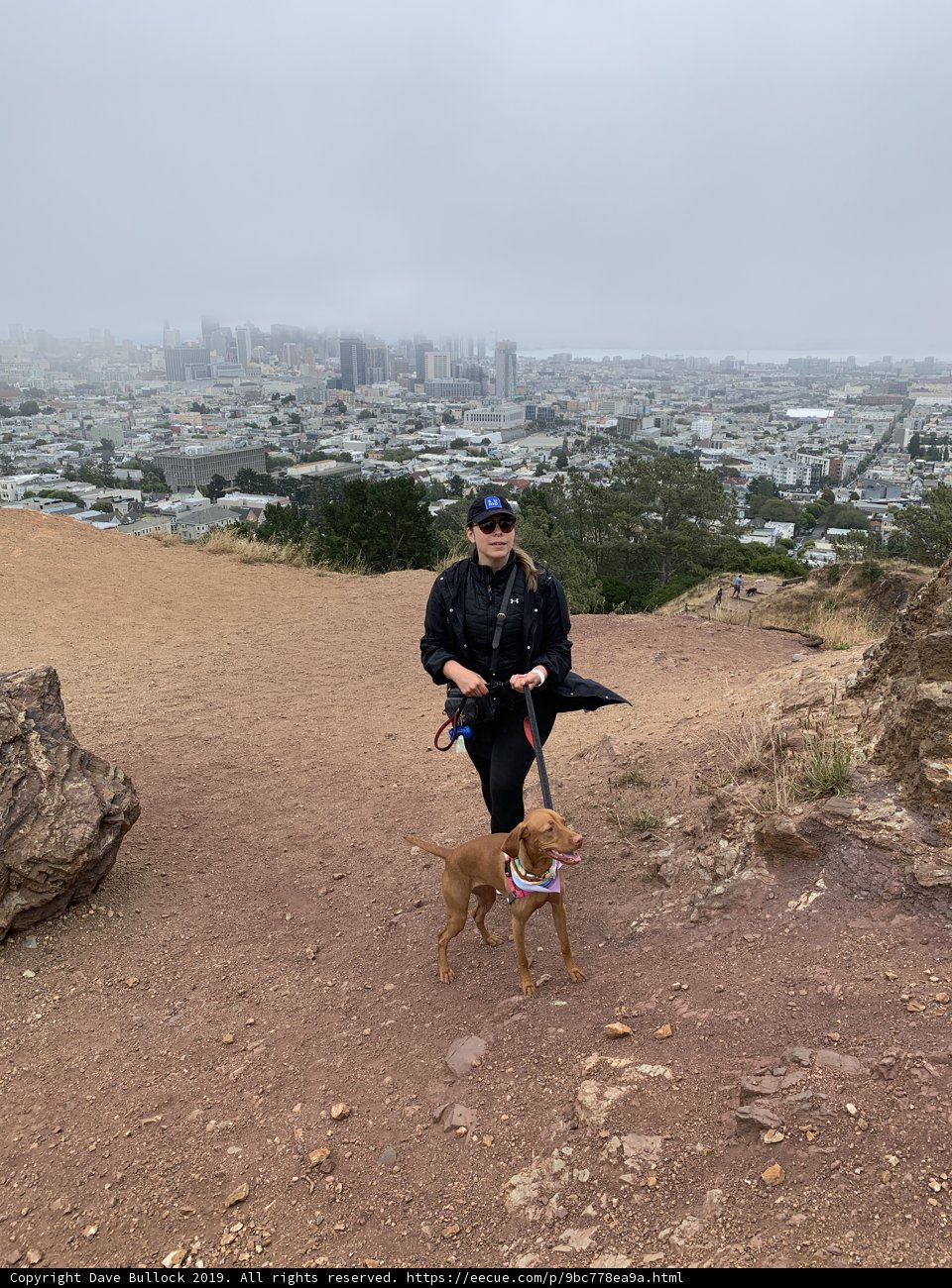 Hillside Adventure