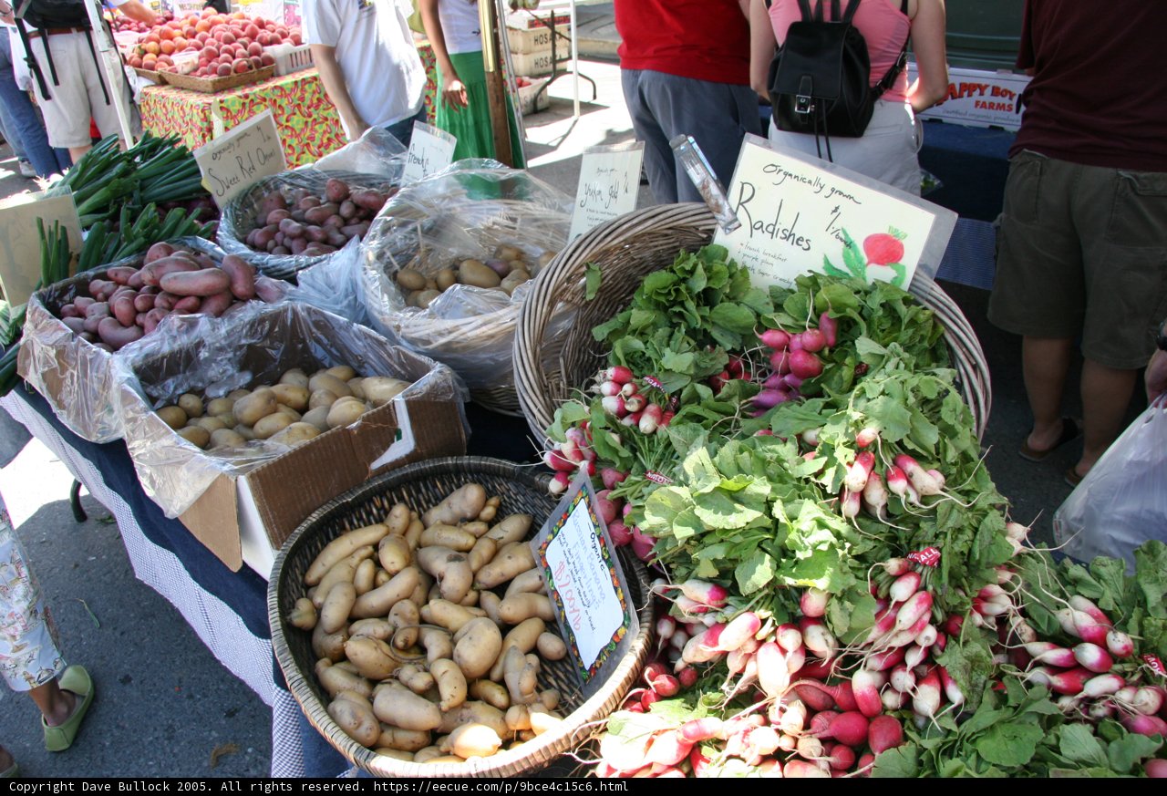 Fresh and Colorful Harvest