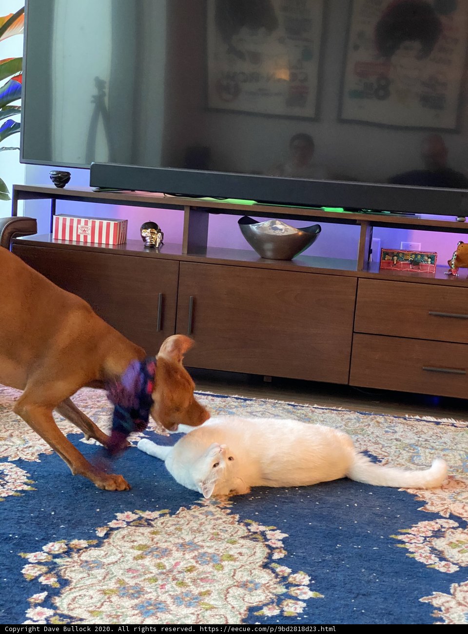 Playtime with Friends