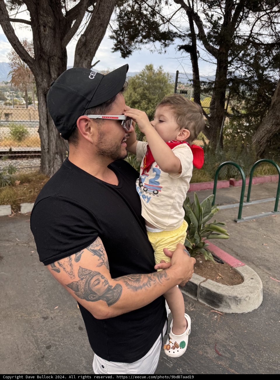 A Day at the Zoo