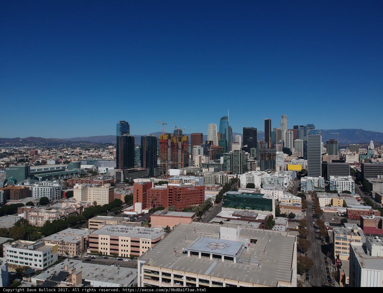 Overlooking the Concrete Jungle