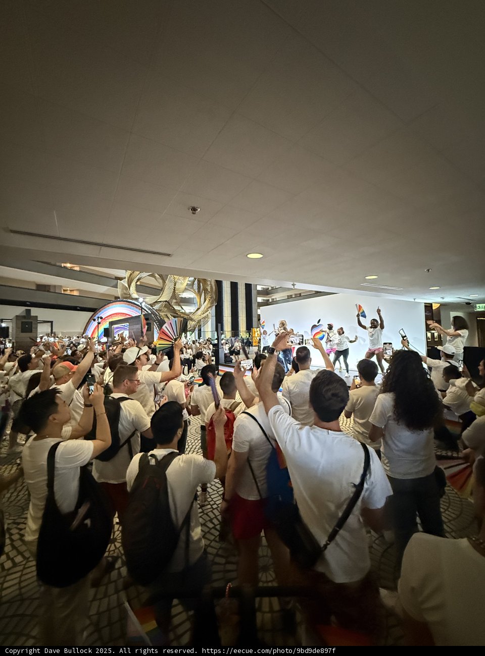 Vibrant Gatherings in San Francisco