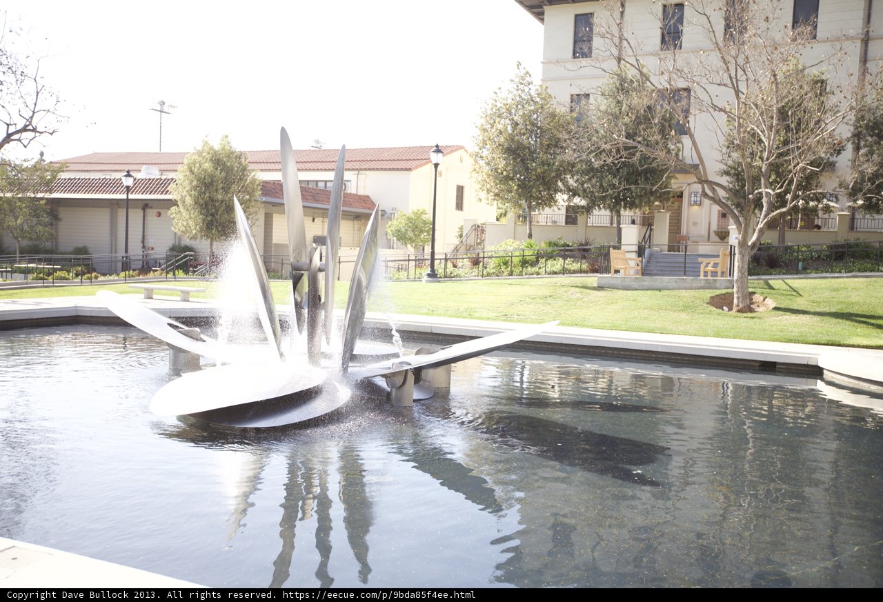 Fountain Oasis