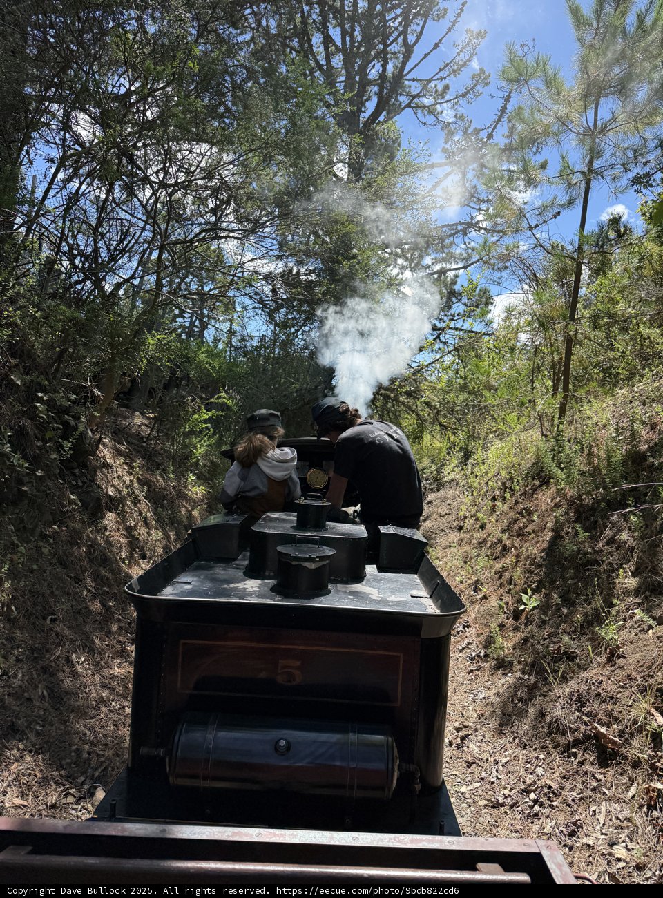 Journey Through the Wilderness