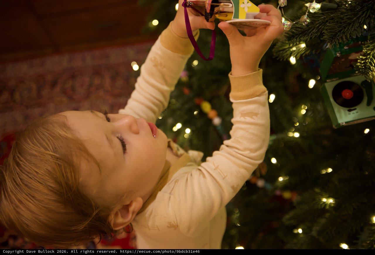 Child Decorating Christmas Tree with Ornament