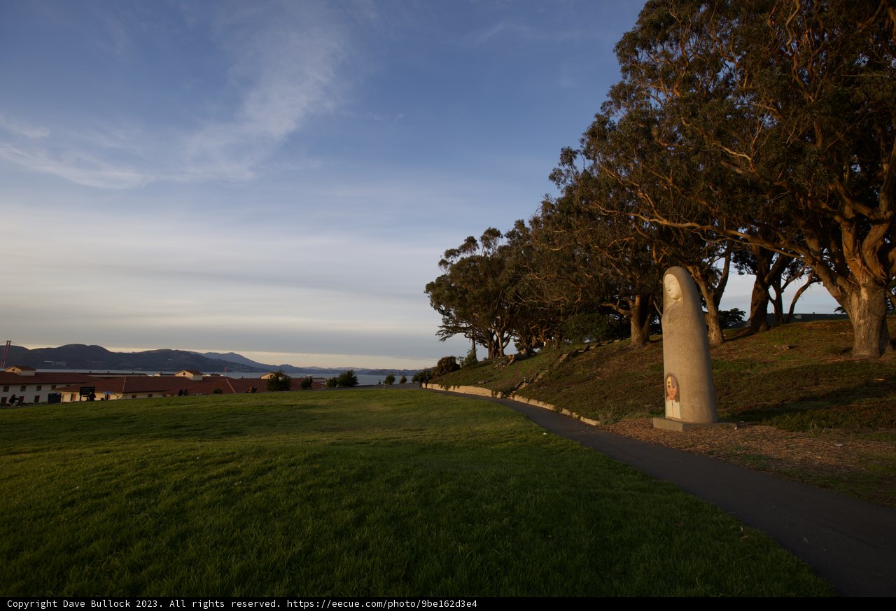 The Verdant Symphony of Fort Mason