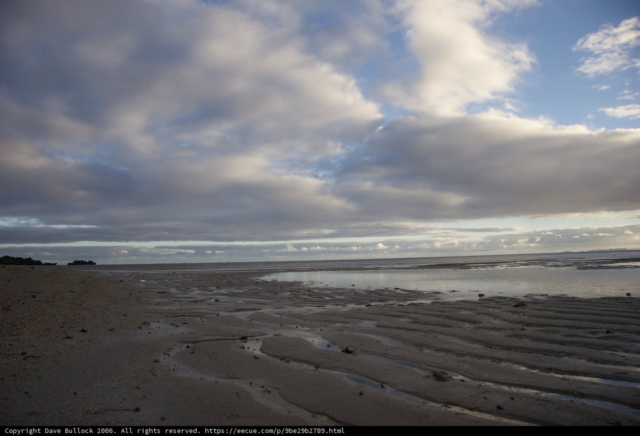 Serenity by the Shoreline