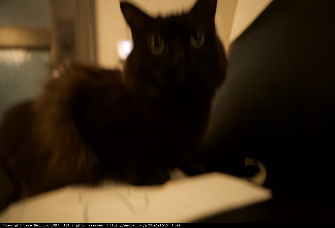 Midnight Company