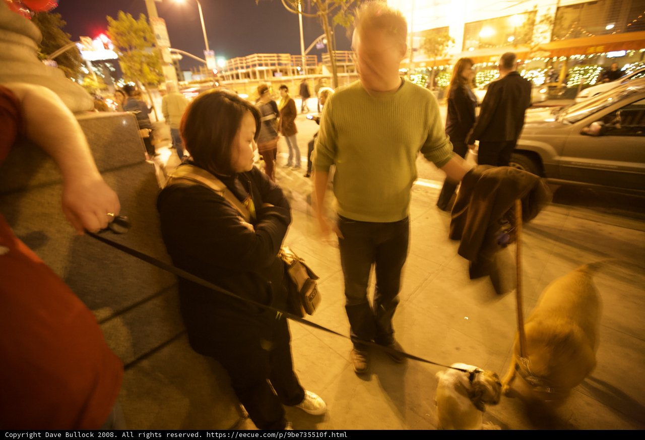 Walking the Pup Before Hitting the Polls