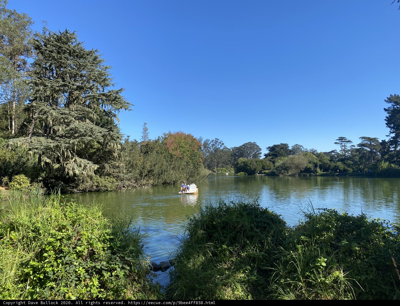 Tranquil Canoe Ride in Golden Gate Park