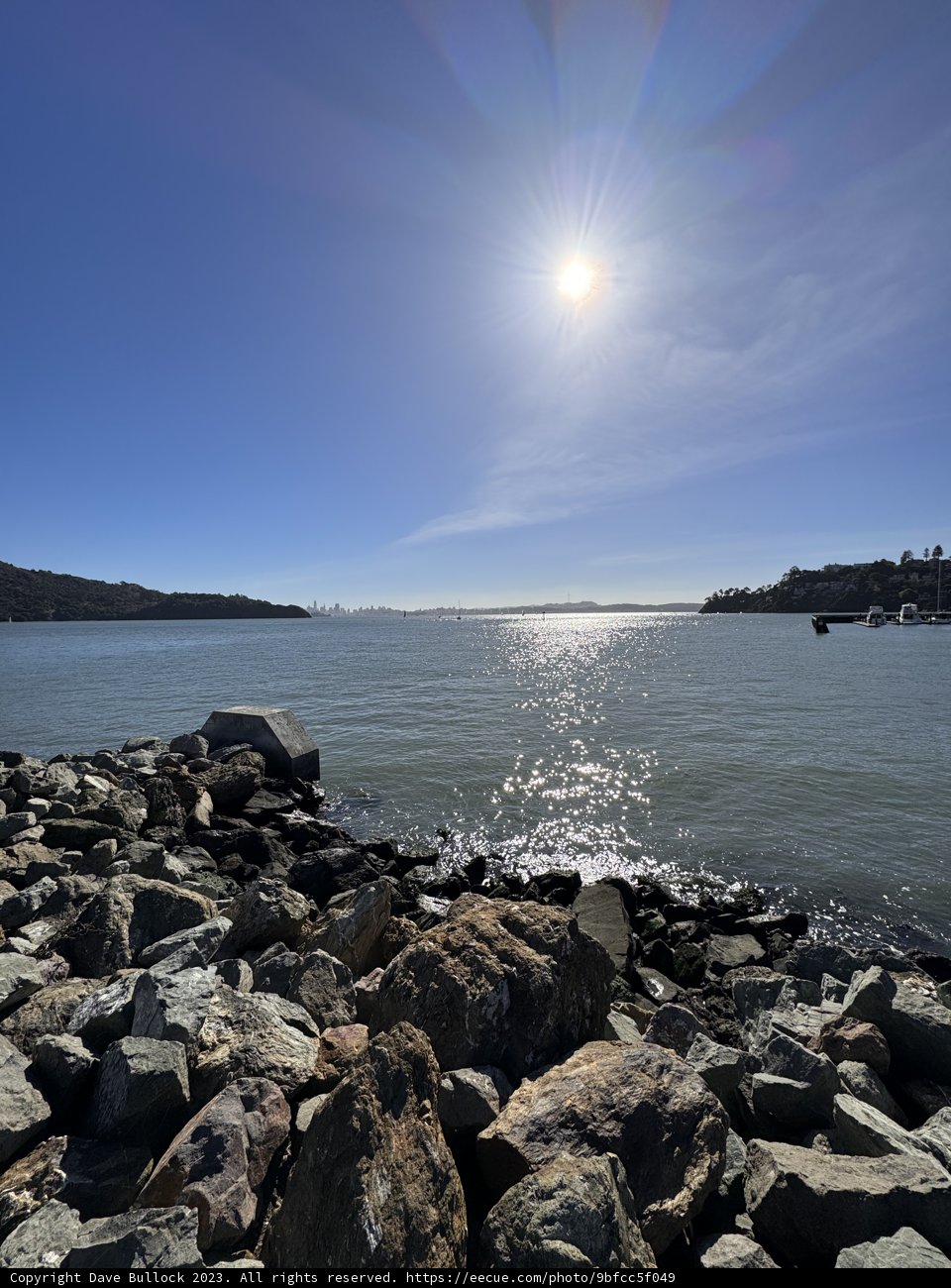 Serene Morning at Belvedere Tiburon