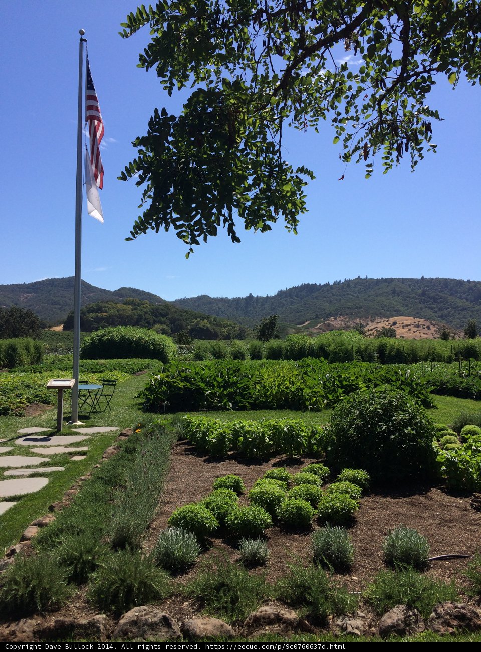 Patriotism in Yountville