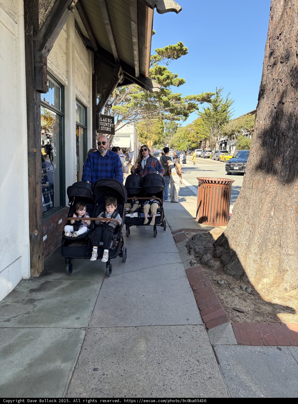 Strolling Through Carmel