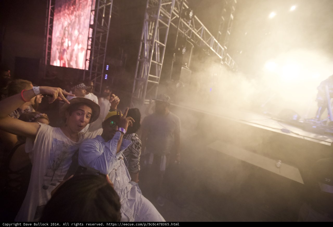 Smoke and Lights: A Captivating Concert Crowd