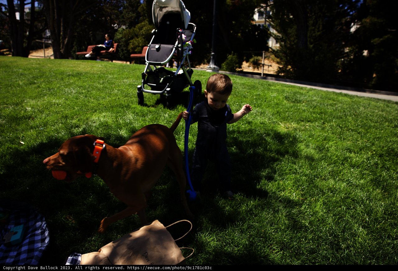 A Day of Joy at Delores Park