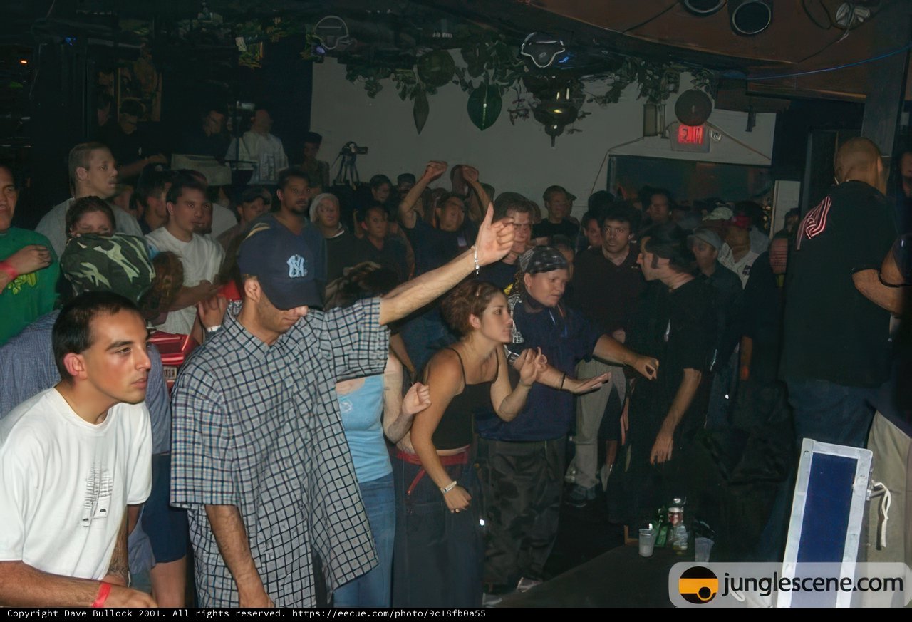 Partygoers Get Their Game On