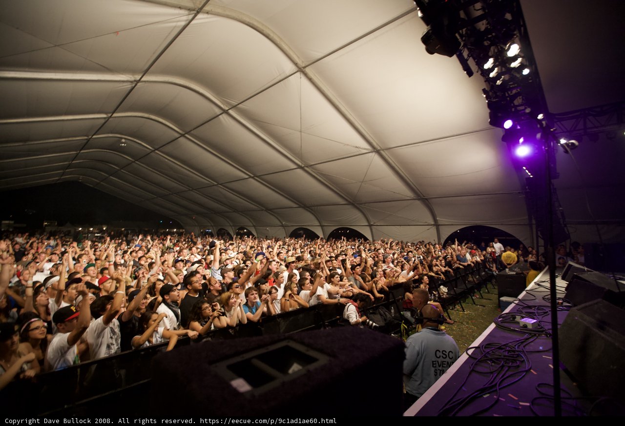 The Electric Crowd