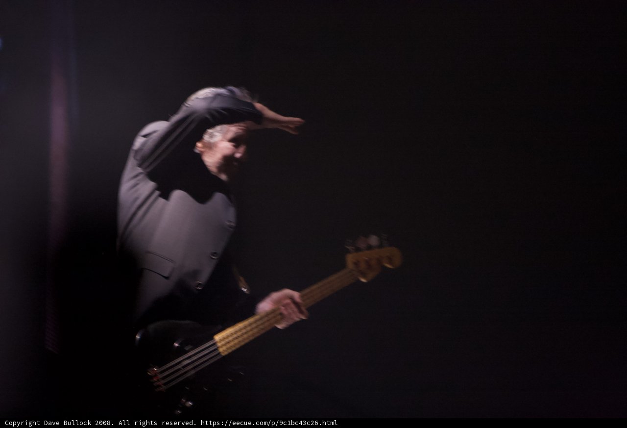 Suit Playing Bass at Coachella