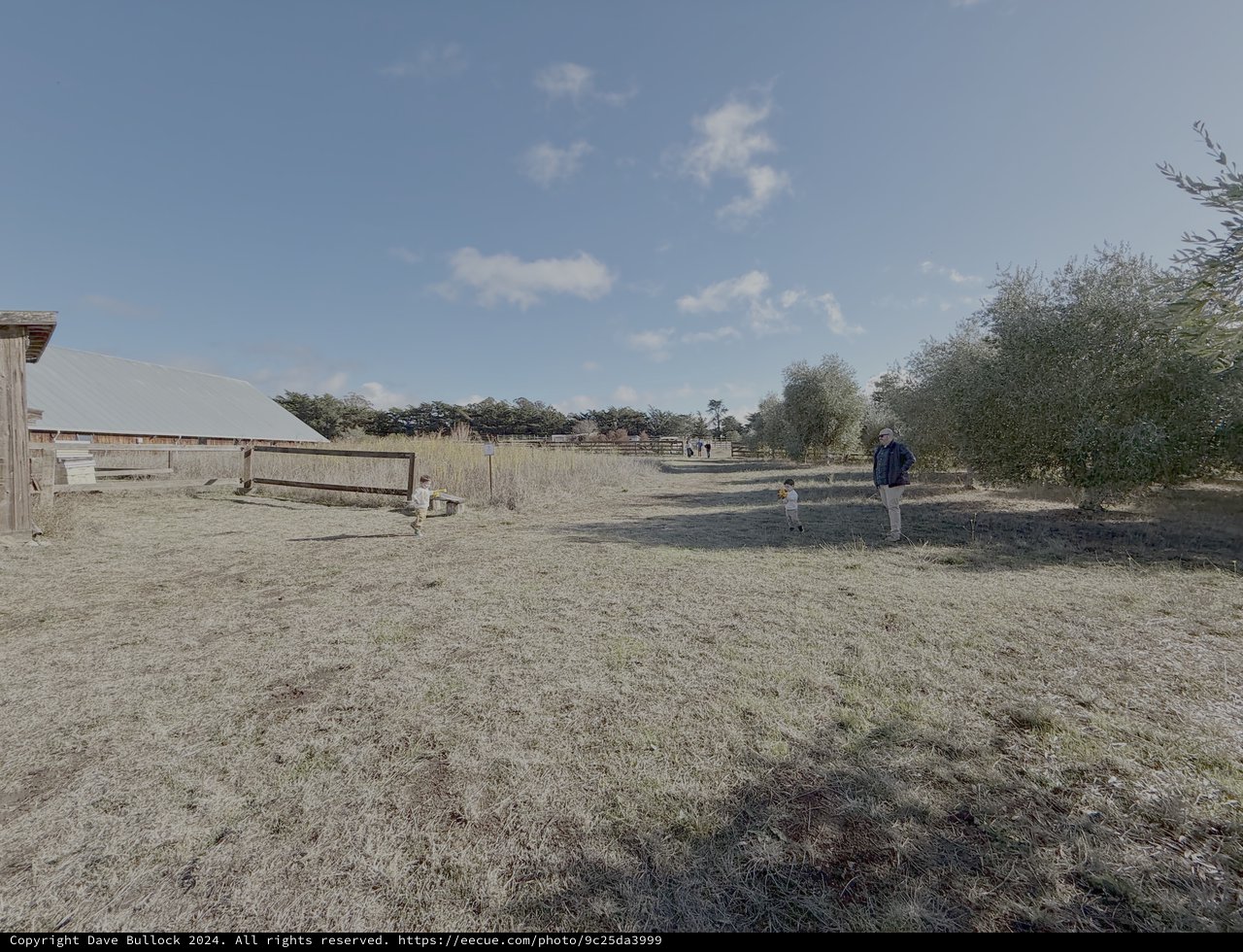 Rural Farm Landscape with Person and Dog