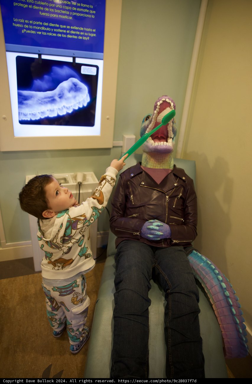 Dino Dental Adventure