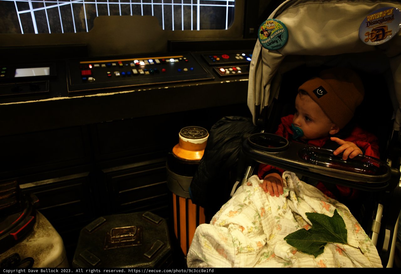 Tech-Savvy Baby's Disneyland Adventure