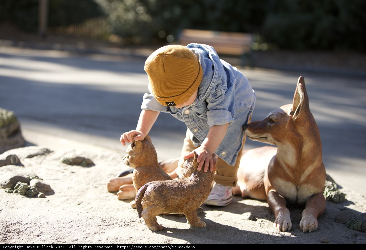Childhood Delight at SF Zoo