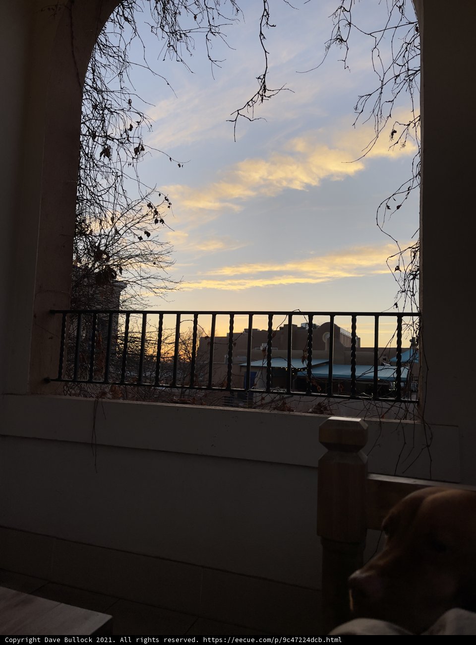 The Watchdog of Santa Fe