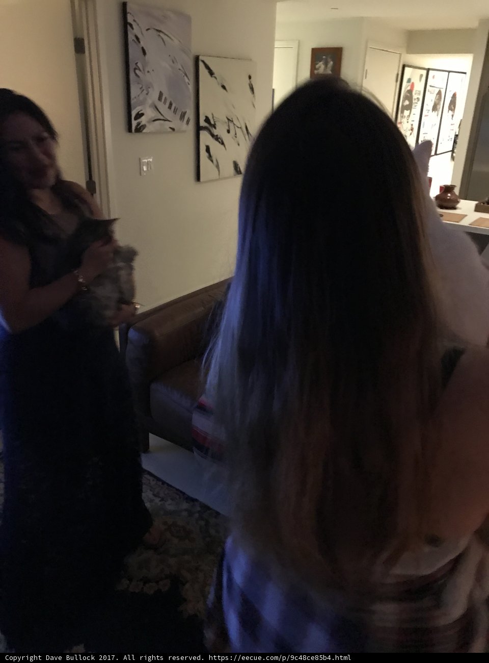 Woman and Her Canine Companion in the Living Room