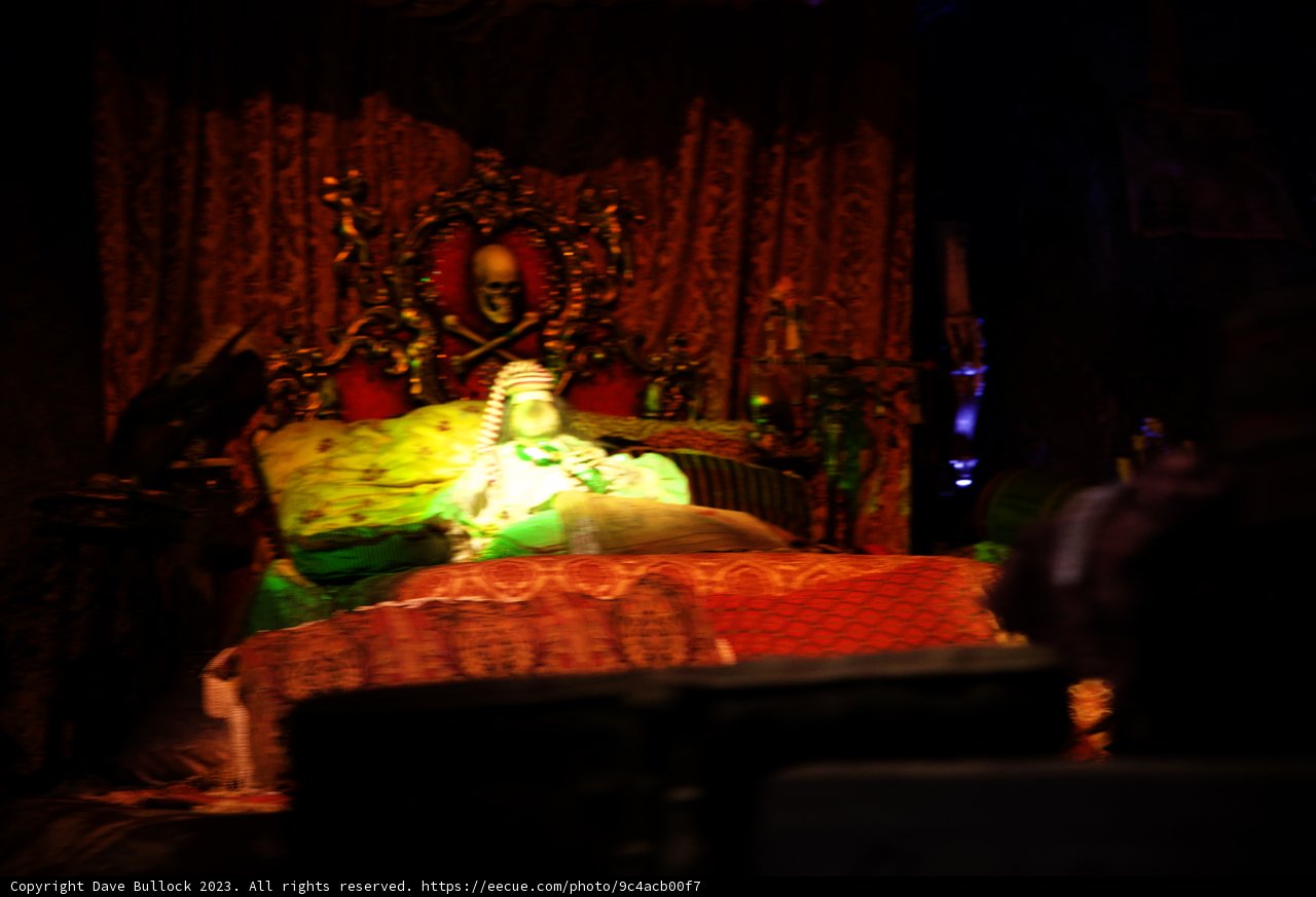 Reflective Moment at Disneyland