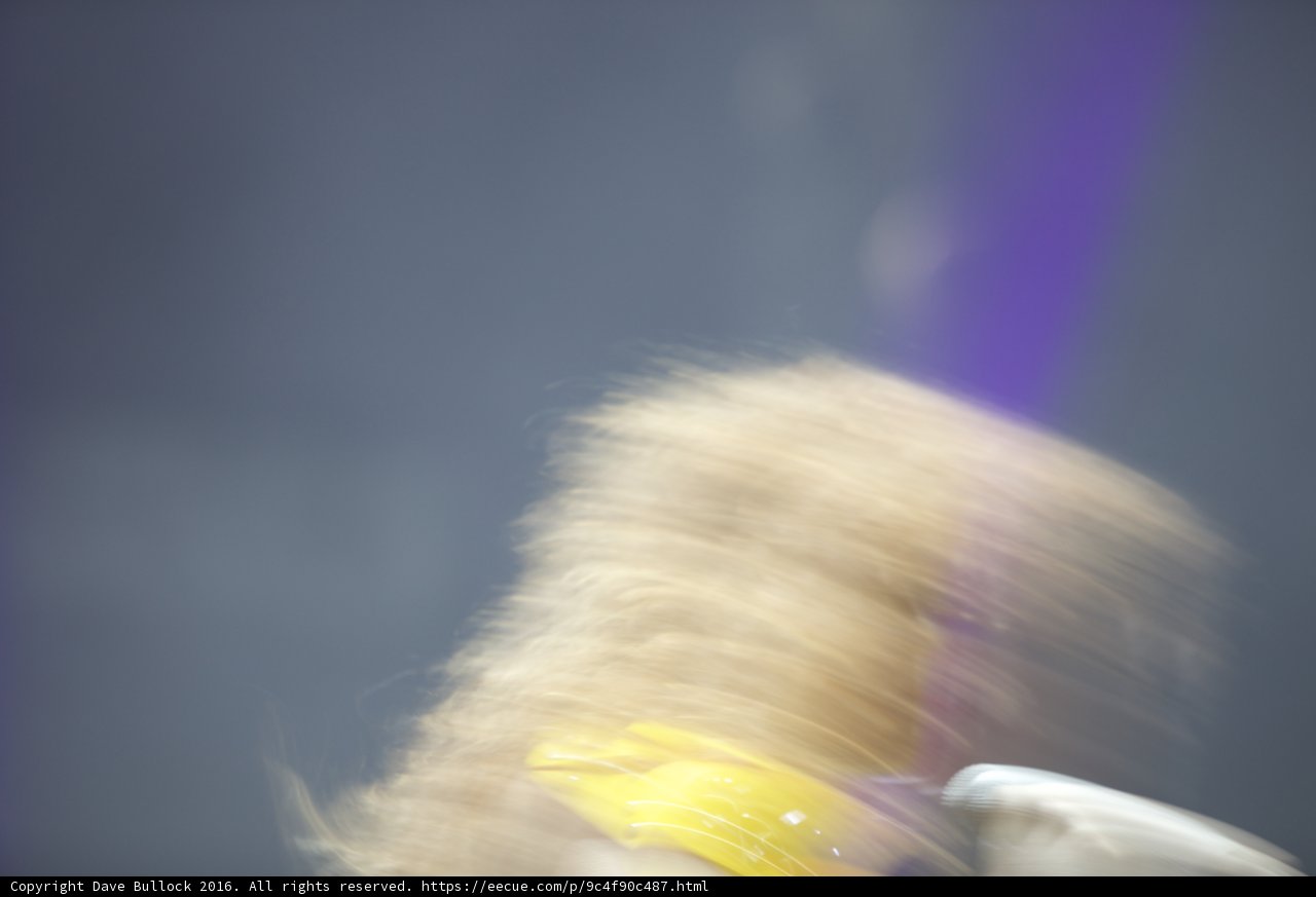 Blurred Beauty