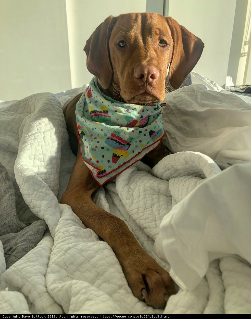 Relaxing in Style