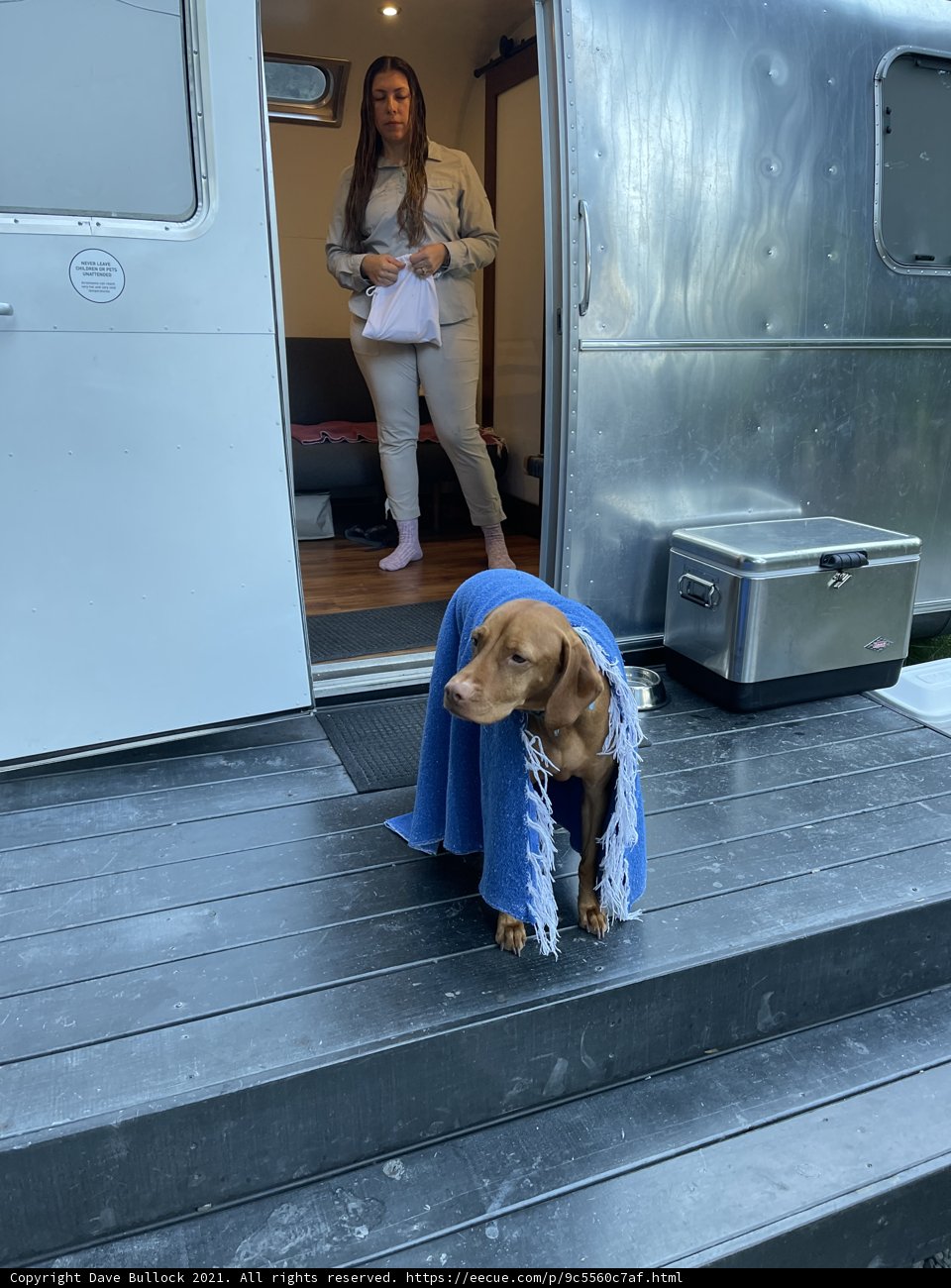 Trailer Life with Furry Companion