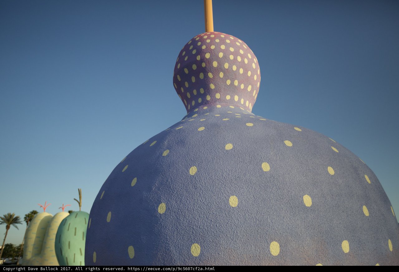 Colorful Cactus Towering Over Coachella