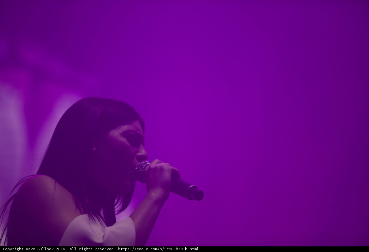 Solo Performance under Purple Lights