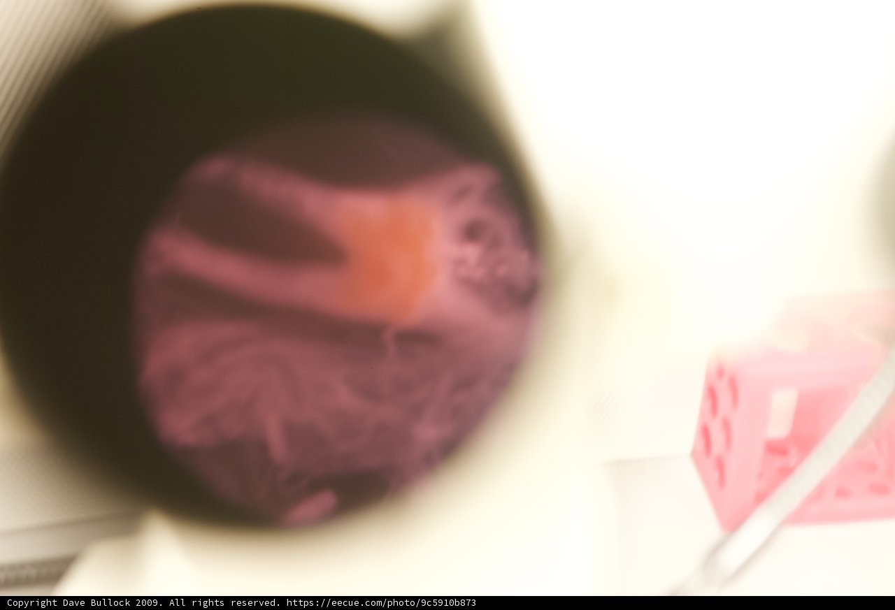 Blurry Reflection