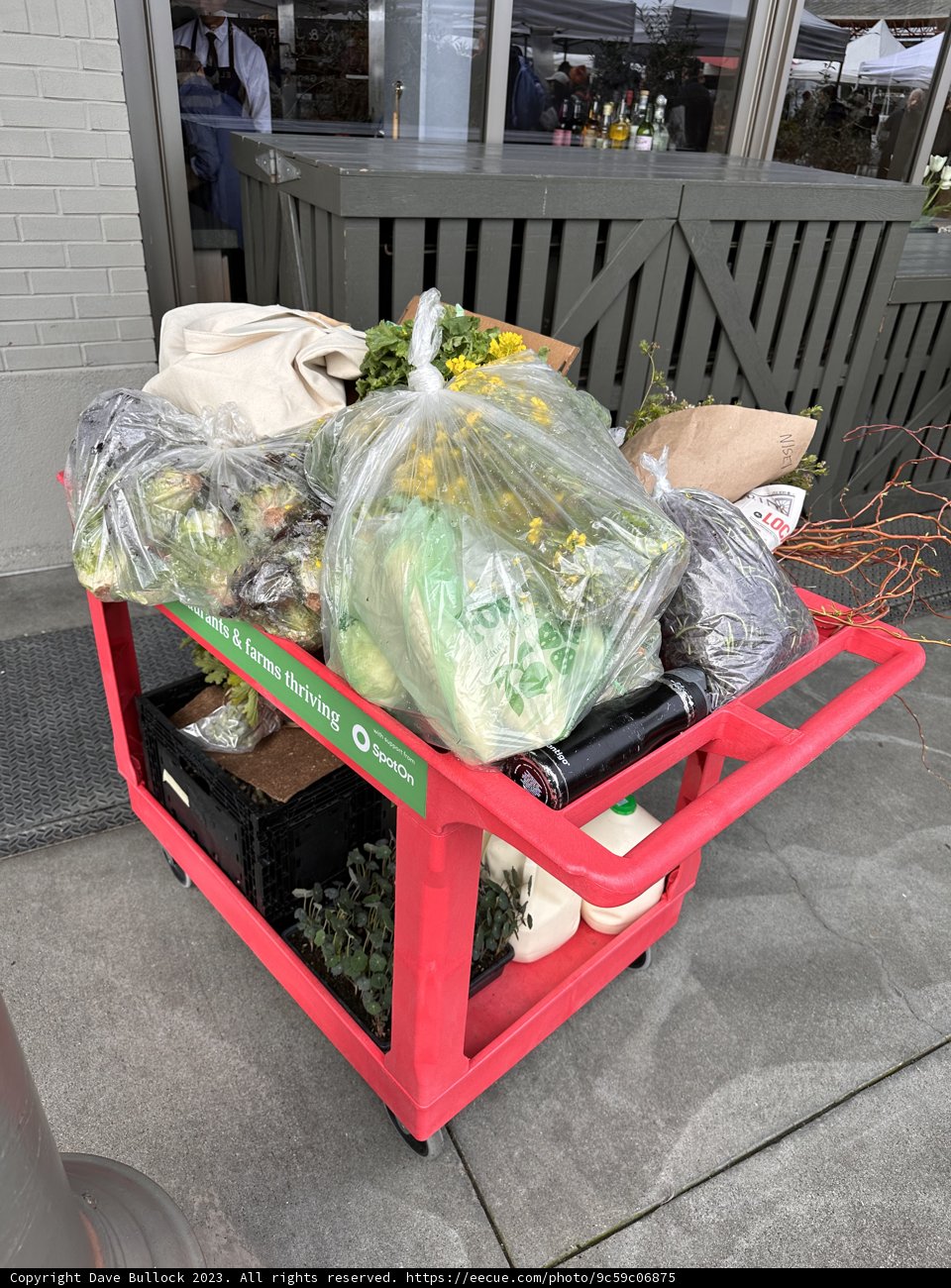Sustainable Urban Living in San Francisco