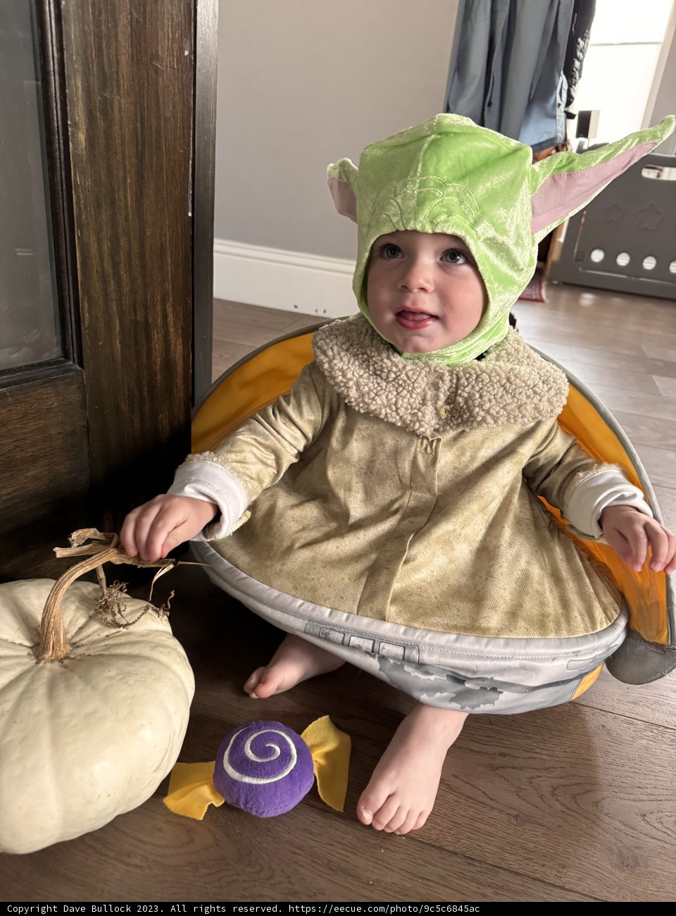 Halloween Cuteness Overload with Wesley 2023