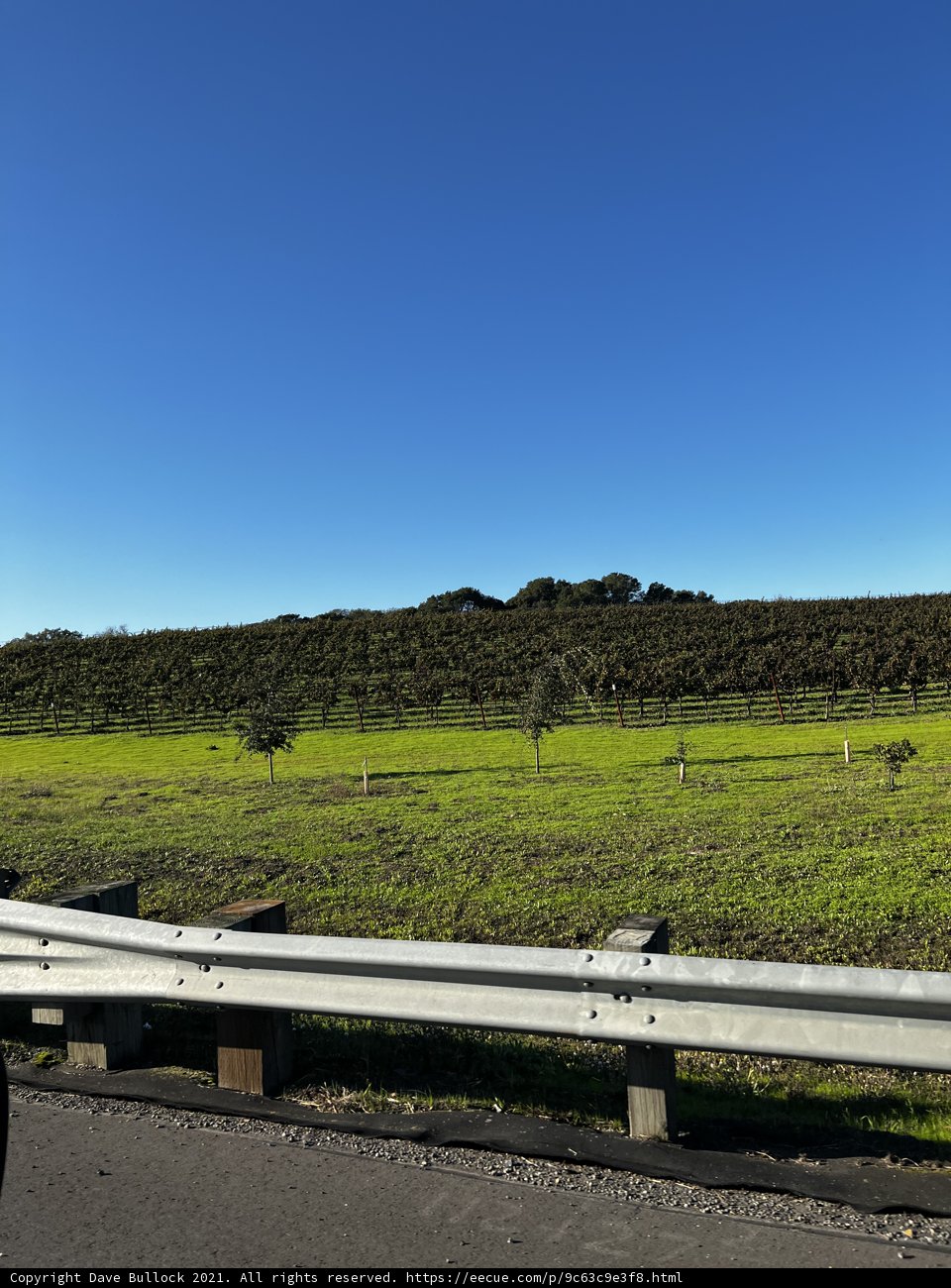 A Rustic Farm Fence Under the Clear Blue Sky