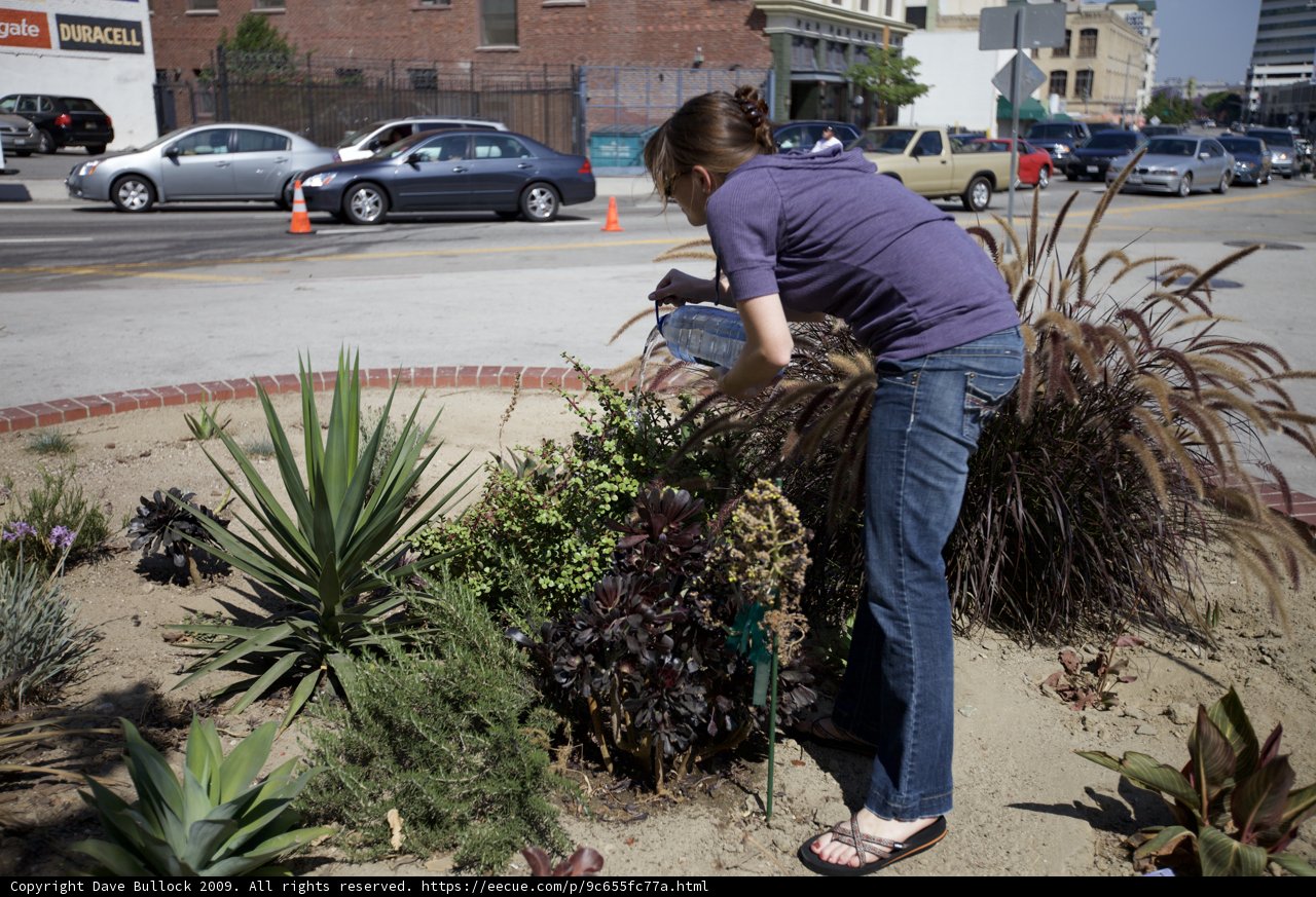 Greening up the Parking Lot