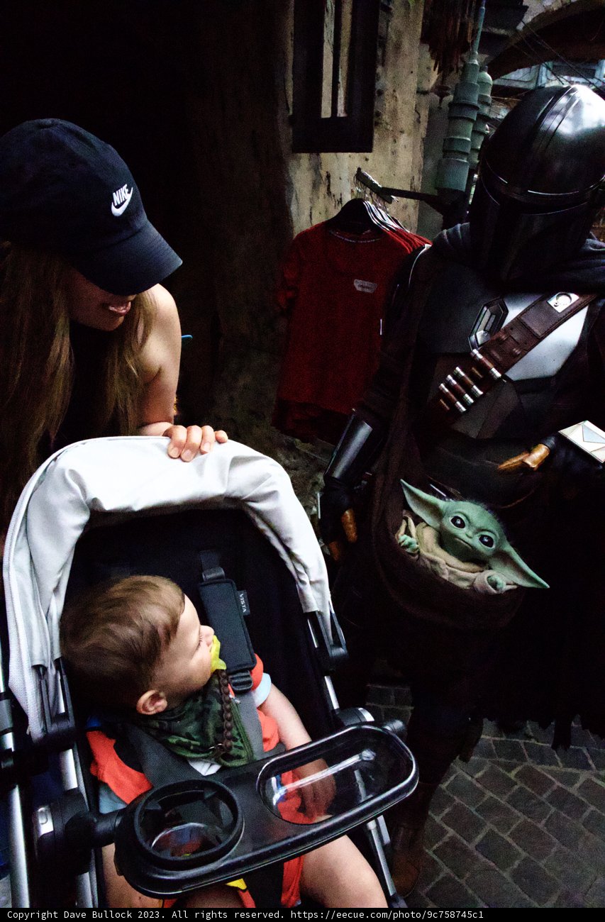 A Fun-Filled Day at Disneyland