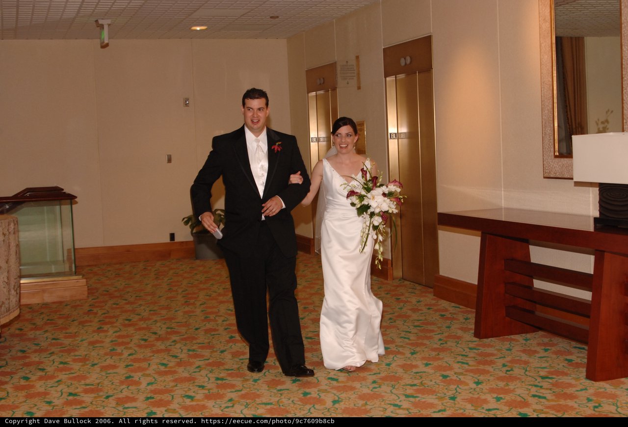 Newlyweds Walk Arm-in-Arm Through Hotel Lobby