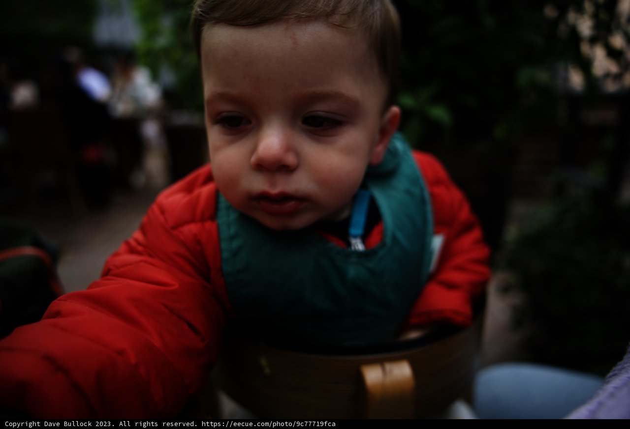 Baby's Day Out in a Red Jacket