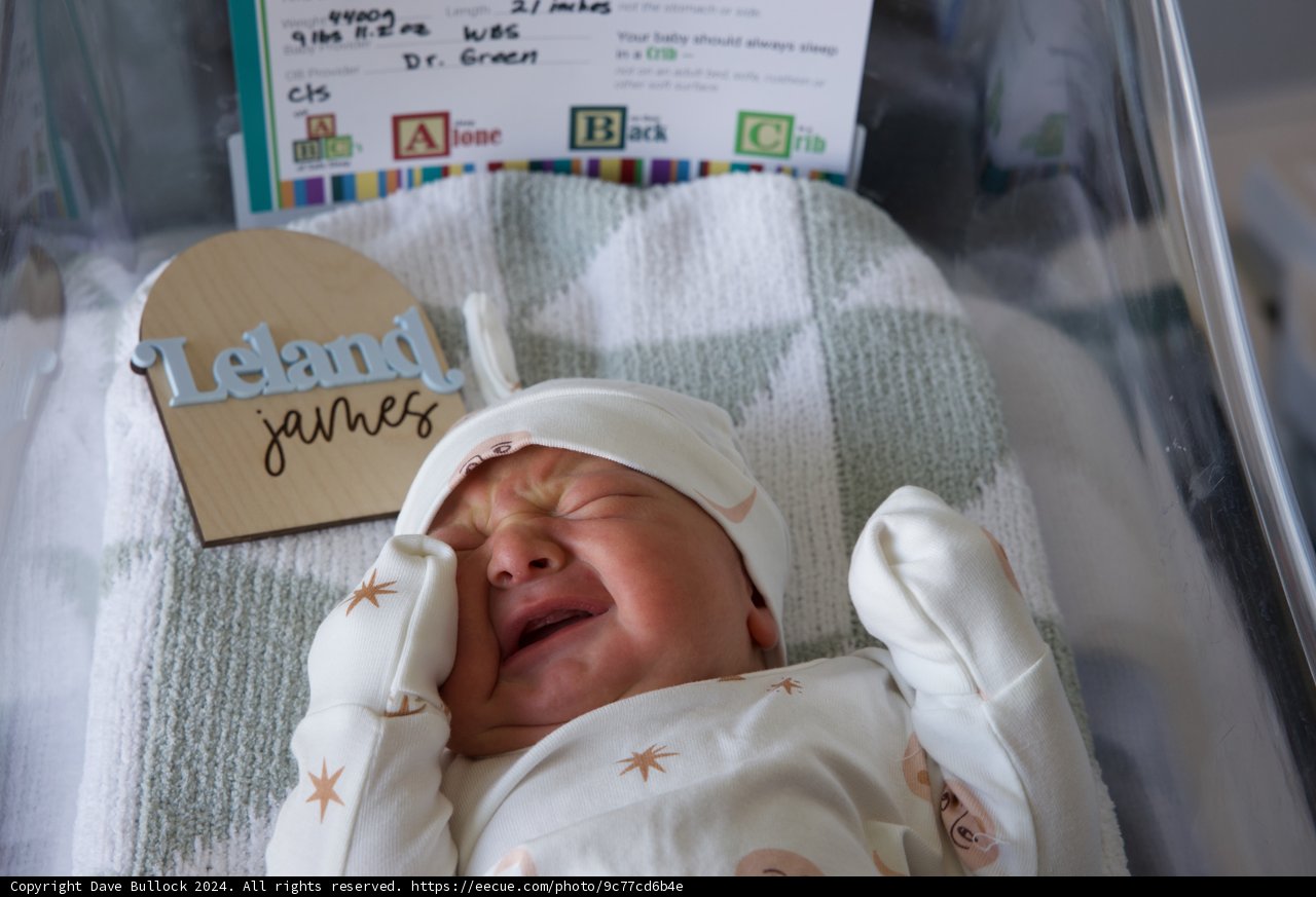 Welcome to the World, Leland!