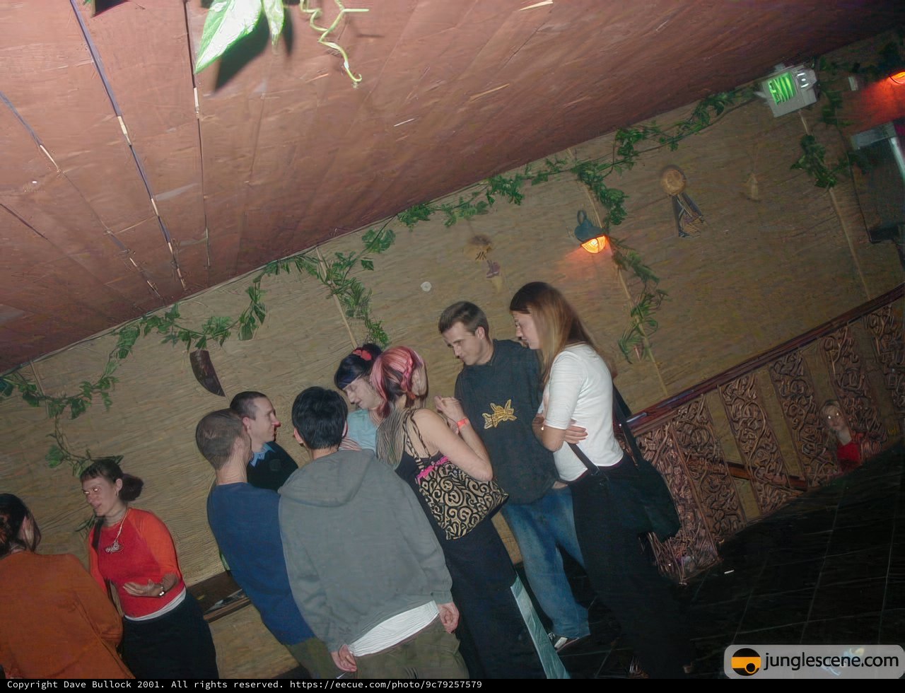 Night Out at the Martini Lounge