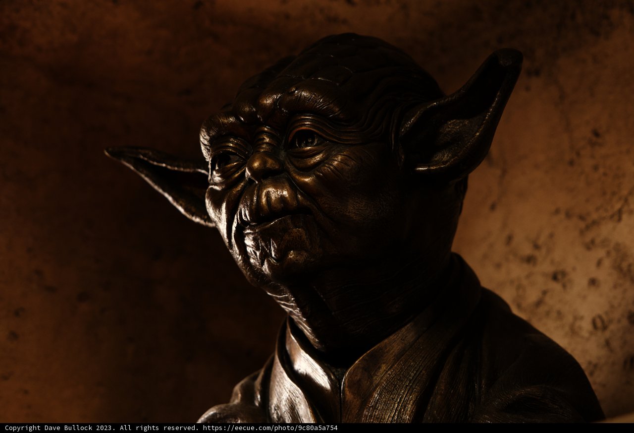 The Bronze Yoda